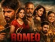 Cast of O’ Romeo